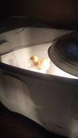 20171208_143705.jpg