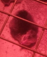20171221_181606-1.jpg