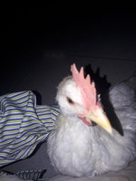 20171222_194704.jpg