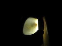 IMG_9376 (Large).JPG