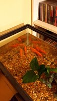20171222_171018.jpg