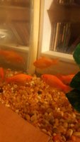 20171222_171032.jpg