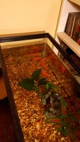 20171222_171409.jpg