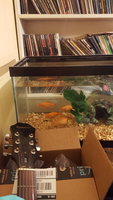 20171222_171559.jpg