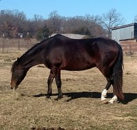 IMG_20171223_093313.jpg