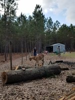 20171223_132030.jpg