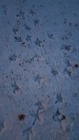 20171225_165716.jpg 20171225_165716.jpg