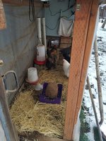 20171226_082603.jpg