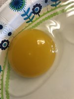0E40F6EB-FF71-451A-969C-A63A0C527384.jpeg