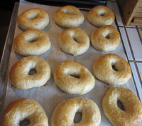 Bagels Baked.jpg