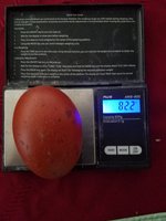20171226_154131.jpg