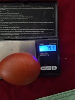20171226_154019.jpg