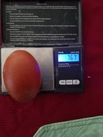 20171226_154049.jpg
