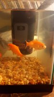 20171227_004848.jpg