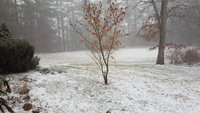 20171225_095409.jpg
