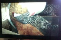 Photo on 12-27-17 at 11.49 AM #2.jpg
