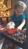 20171227_103407.jpg