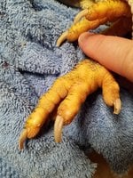20171227_112620.jpg