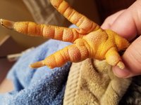 20171227_112628.jpg