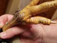 20171227_112655.jpg