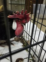 20171227_205444.jpg