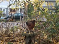 20171129_154315.jpg