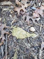 20171228_124919.jpg