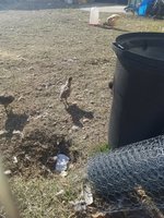 20171228_114905.jpg