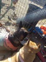 20171228_115117.jpg