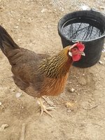20171229_121014.jpg
