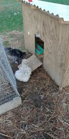 20171222_170124.jpg