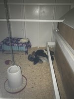 IMG_3178.JPG