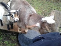 20171230_093309.jpg