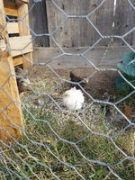 20171230_135208.jpg
