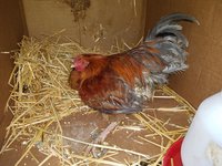 20171230_144208.jpg