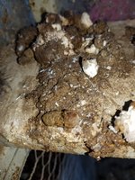20171230_144311.jpg