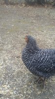 20171230_134954.jpg