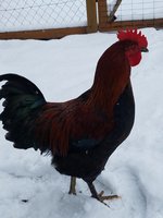 20171225_103456.jpg