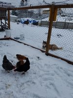 20171225_103516.jpg