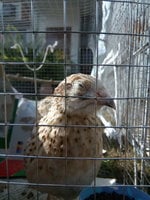 IMG_20171219_112853.jpg