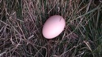 IMG_20171201_171657215.jpg