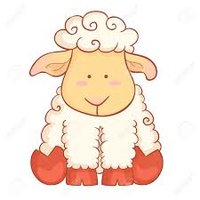 nysheep.jpg