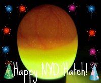 egg candling New Years.jpg