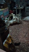 IMG_20180101_182344549.jpg