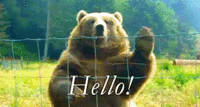 6962DA1E-479C-4AC0-8BB9-991501314F98.gif