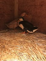 IMG_8150.JPG