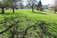 side yard.jpg