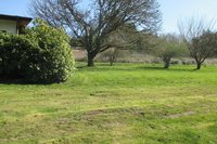 side yard2.jpg