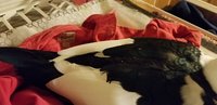 20180105_014008.jpg