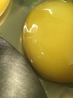 9DFE4214-DF32-4C5E-931D-D12A18183AC5.jpeg